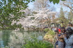 『井の頭公園⑤』