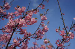 青空