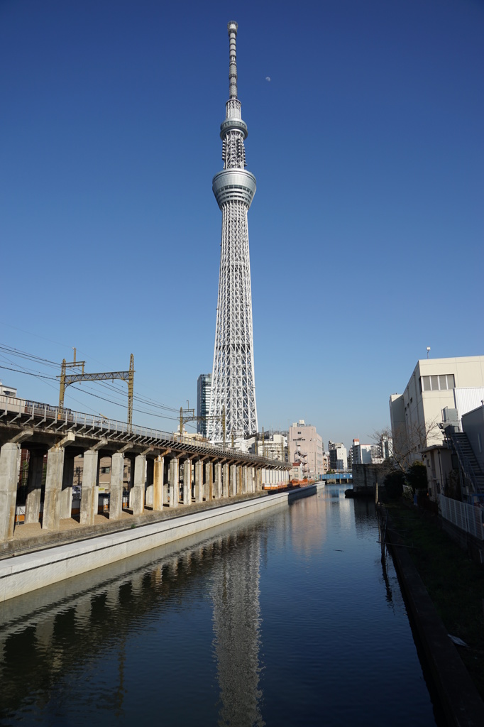 スカイツリーの陰影