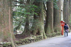 久しぶりの箱根神社