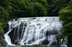 袋田の滝①