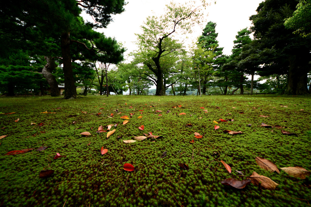 兼六園①
