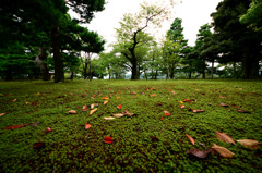 兼六園①