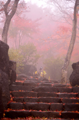 赤い霧