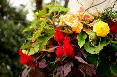 flower arrangement