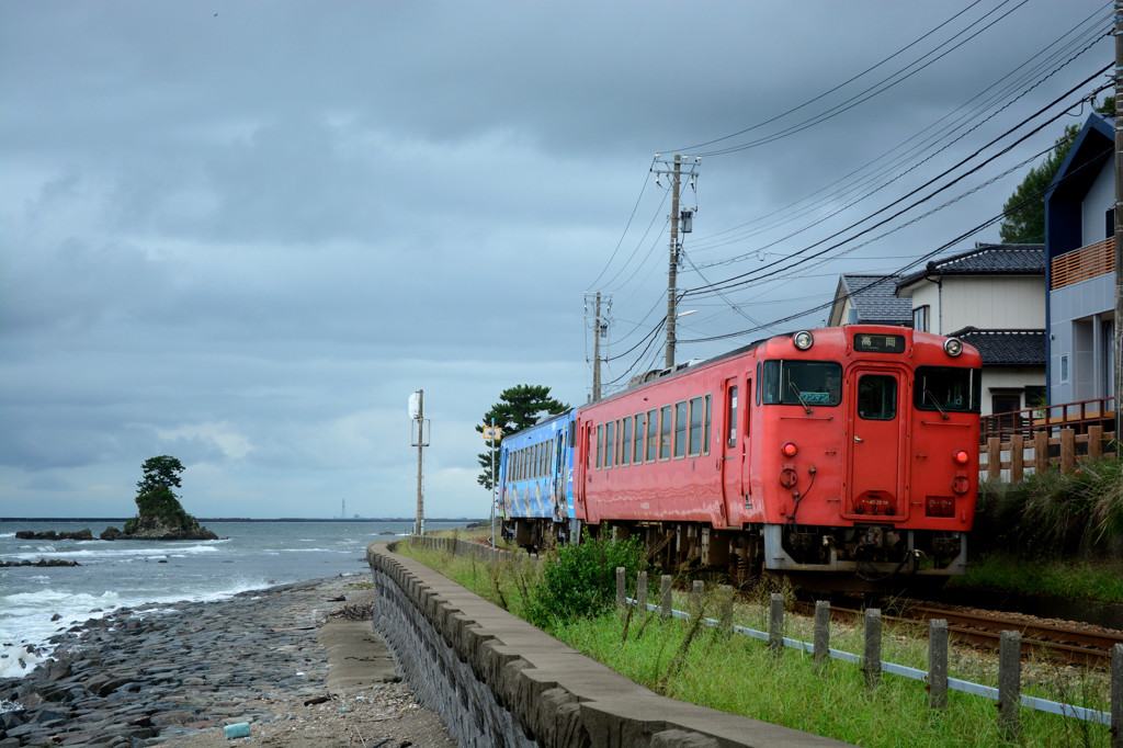 雨晴海岸から