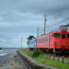 雨晴海岸から
