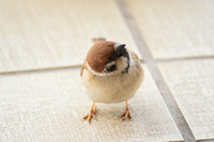 悩む