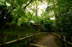 兼六園・散策