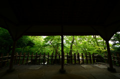 兼六園②