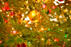 クリスマスツリー