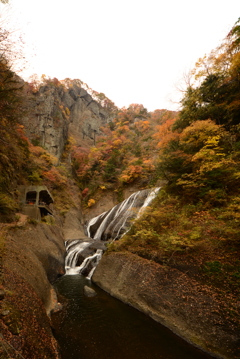 袋田の紅葉④