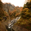 袋田の紅葉④
