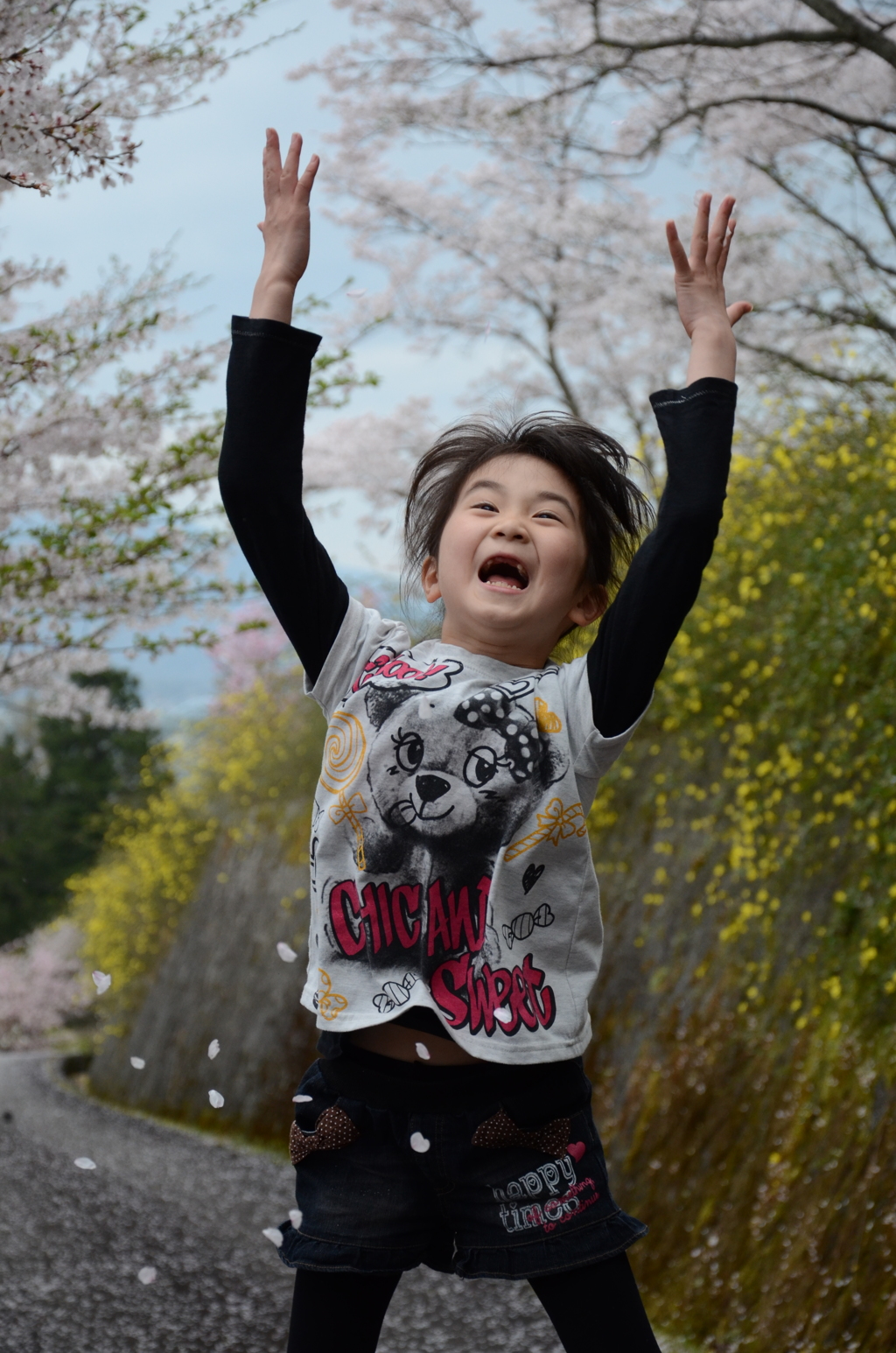 桜吹雪のつもりで