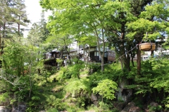 かっこうだんご