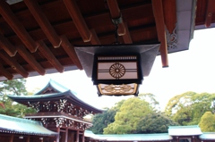 澄
