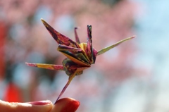鶴のお花見