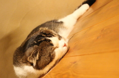 幸福感とねんねんこ