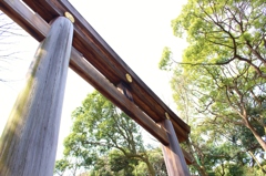 眩しい