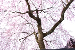 空いっぱいの