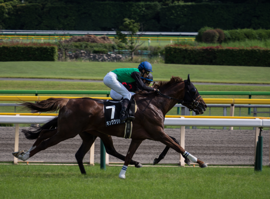 6/7 東京競馬場　第10レース 由比ヶ浜特別