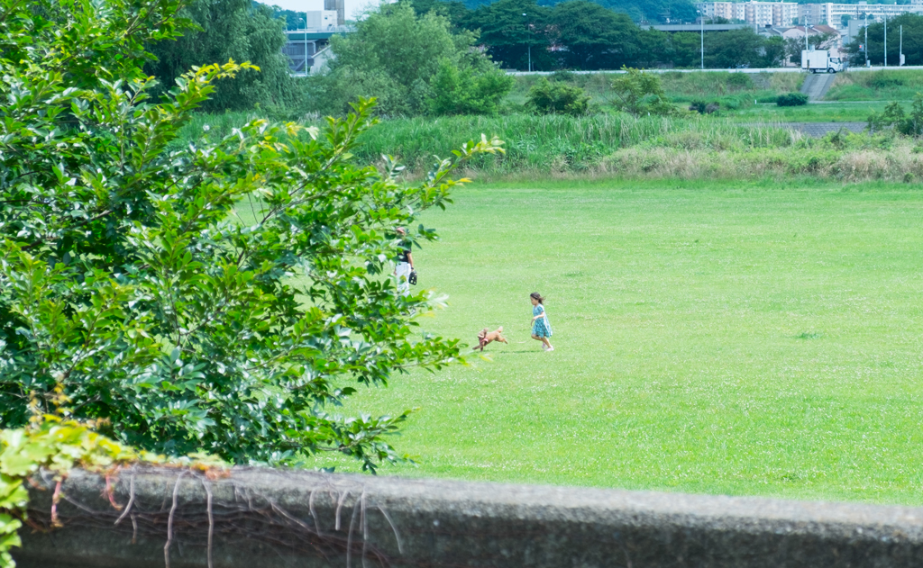 河川敷