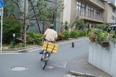 ネコと黒ネコ