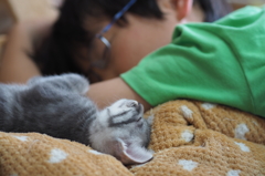 猫と長男