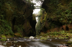 冬の由布川峡谷