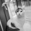 ひろくん。