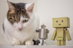 猫型ロボットちゃん。