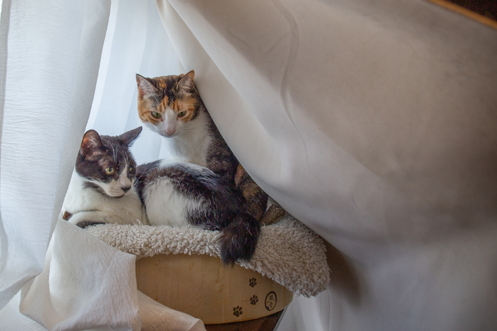 ふたりの秘密基地。