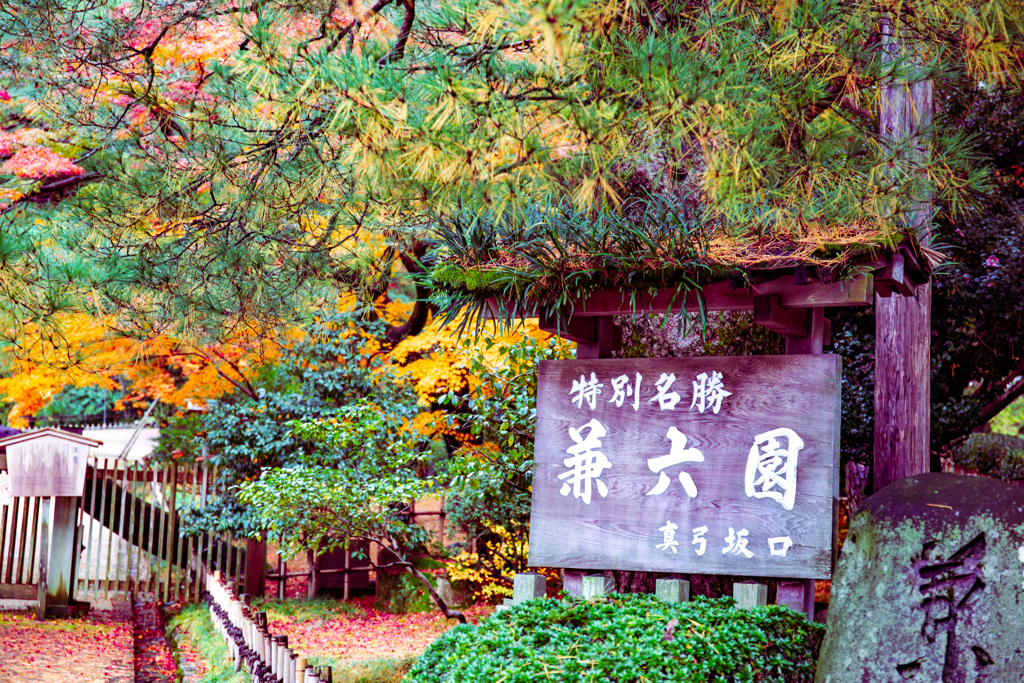 紅葉に誘われて。