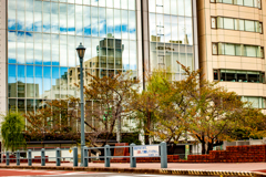 空を複写する街。