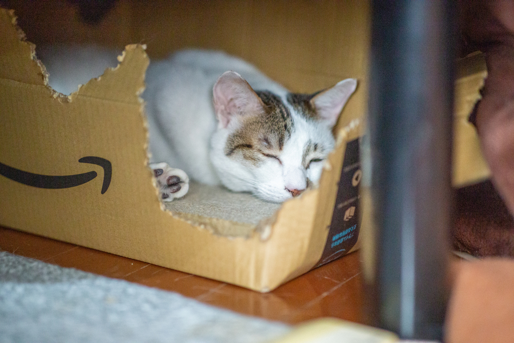 お気に入りの箱で至福のひととき。