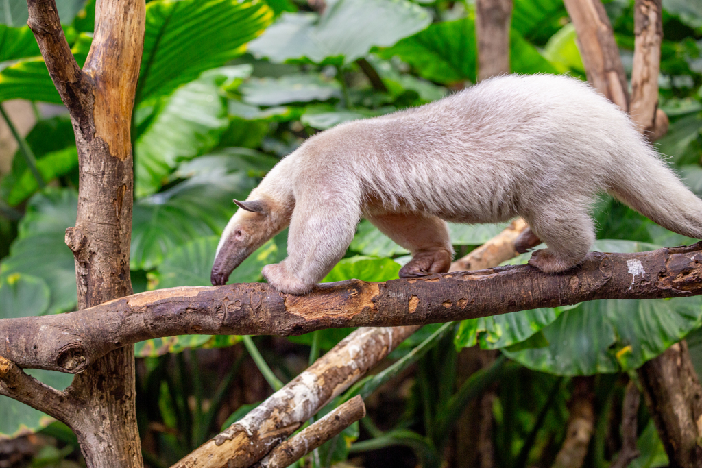 のんびり散歩道。