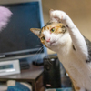 必中パンチ。