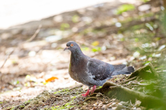 光をまとって。