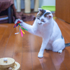 狙って狙って。
