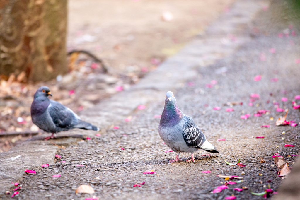 絨毯の上で、待ち合わせ。
