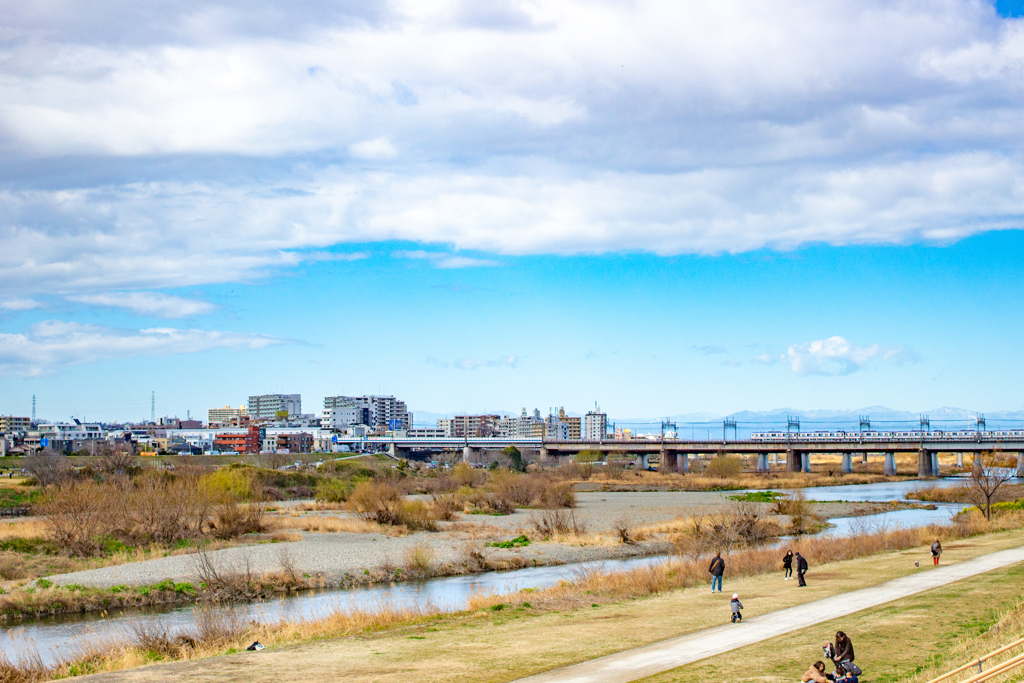 のどかな川岸の風景。