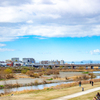 のどかな川岸の風景。