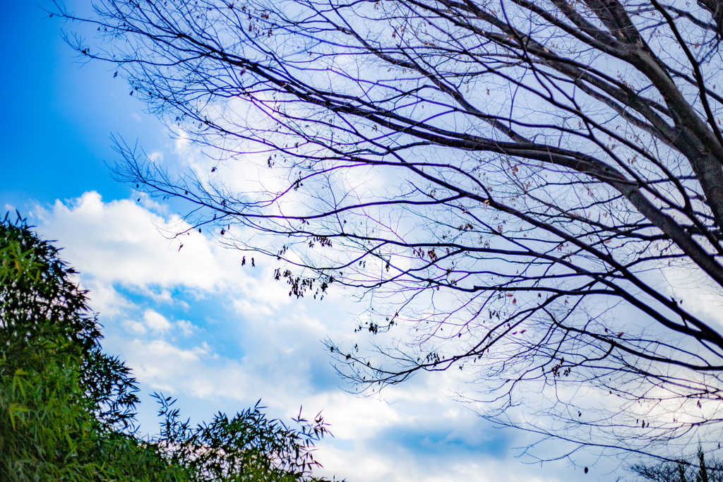 冬の空。