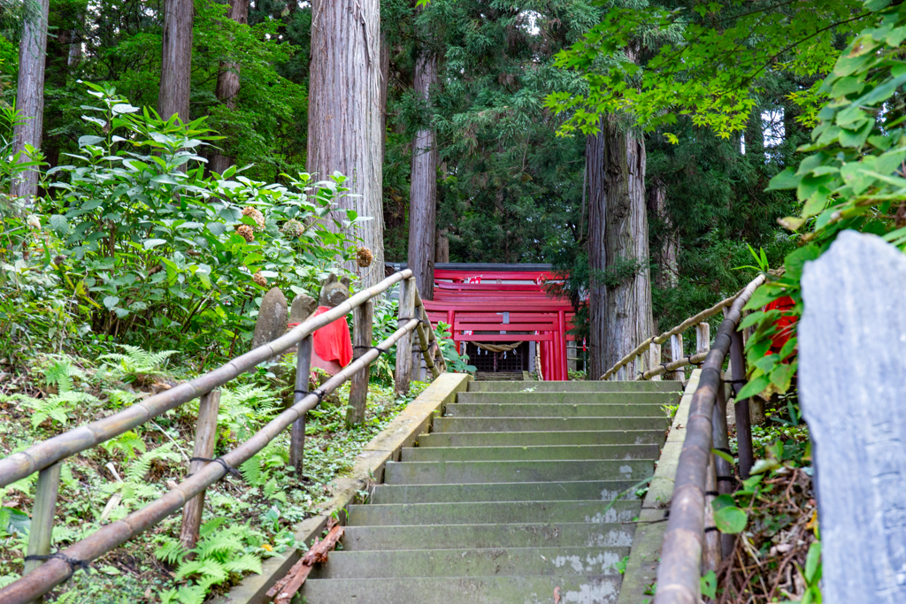 石段の鳥居ワンダーランド。