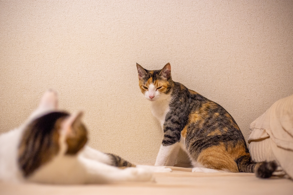 勝負の行方は…。