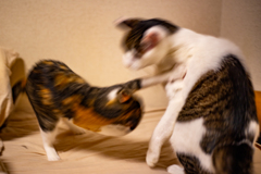 パンチ炸裂。