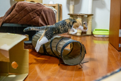 後ろ姿もカッコいい。