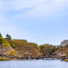 晴れた日の池景色。