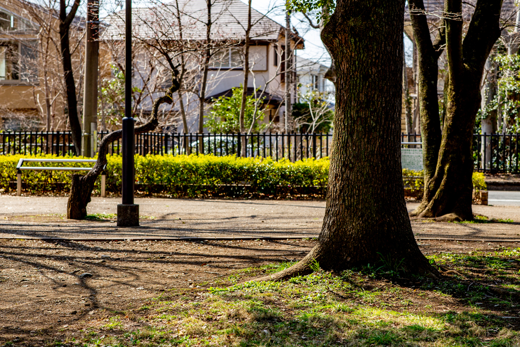 のどかな公園。