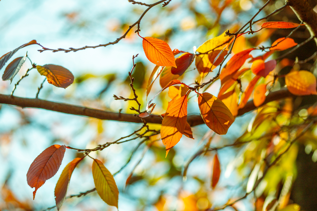 季節の境界線。